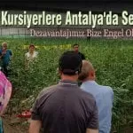 Kursiyerlerimize Antalyada Sera Eğitimi – Bayburt Portalı
